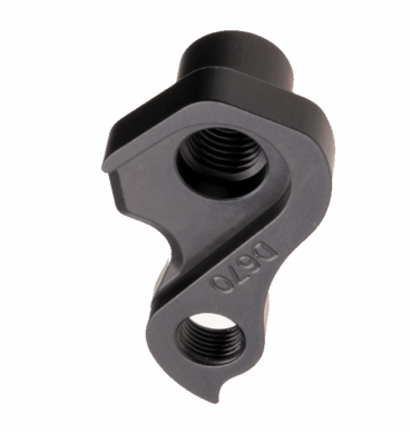 D670 derailleur hanger for Evil